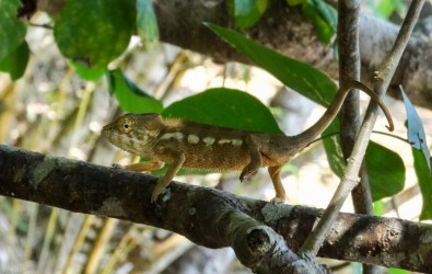 voyage à Madagascar